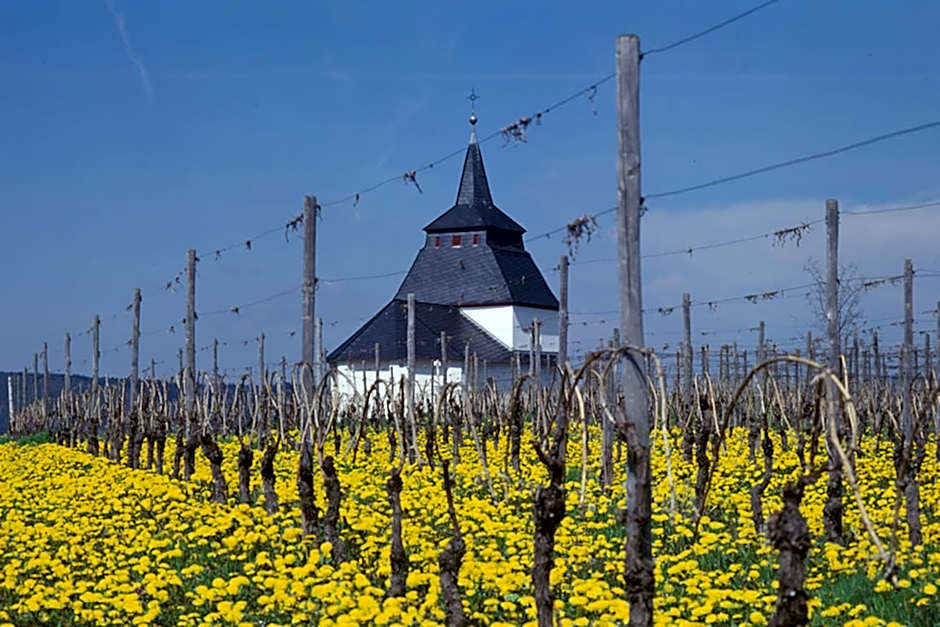 Weingut & Gästehaus Christoph Clüsserath