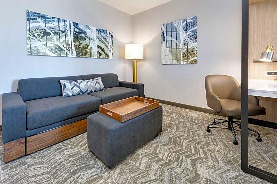 SpringHill Suites by Marriott Dallas Mansfield