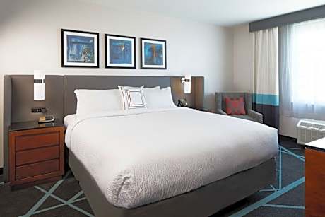 Executive King Suite, 1 Bedroom Suite, 1 King, Sofa bed