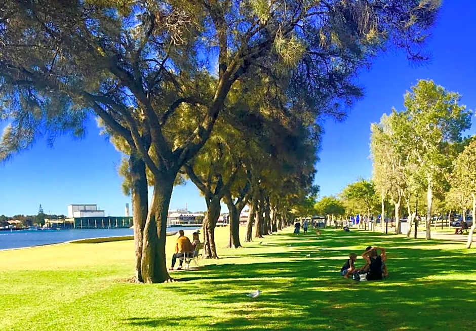 Little Italy Dolphins