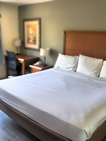 King Studio Suite - Non-Smoking