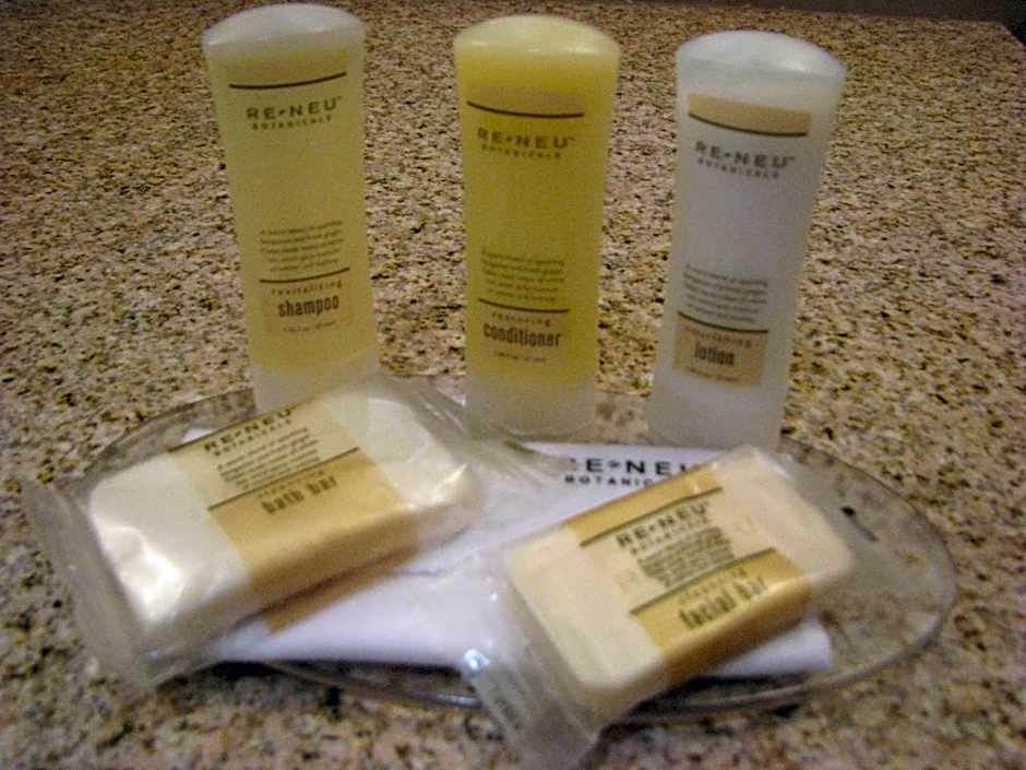 Hotel Chateauneuf Gatineau-Ottawa