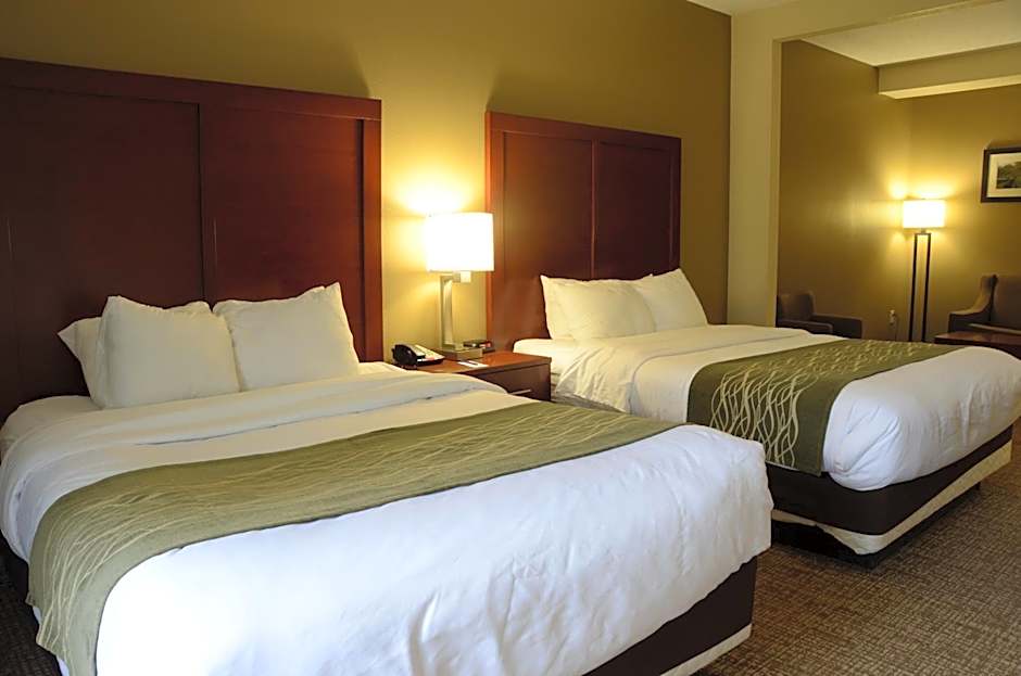 Comfort Inn & Suites Cave City