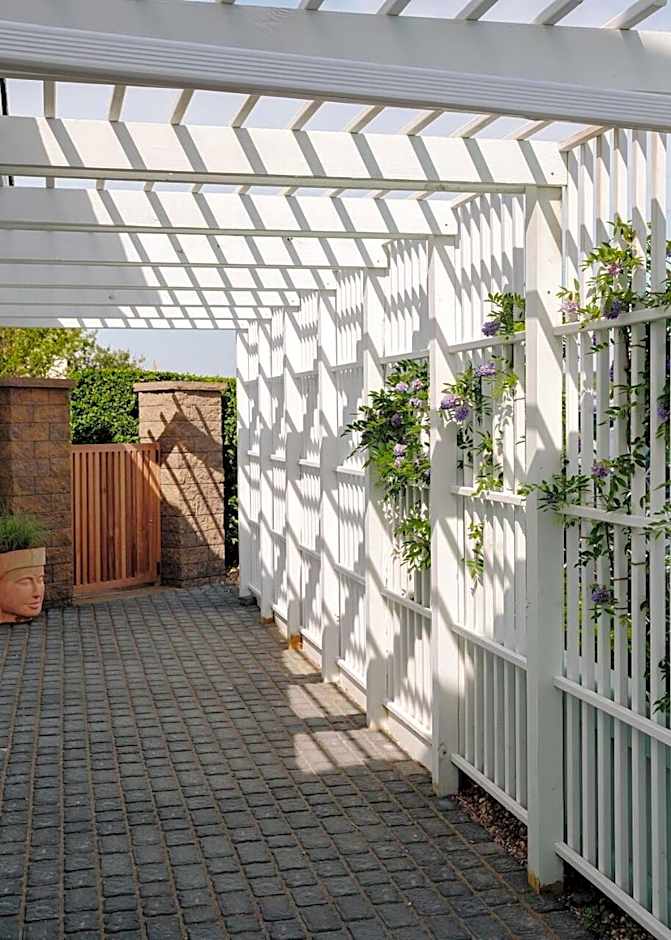 Daunts Albatross Motel