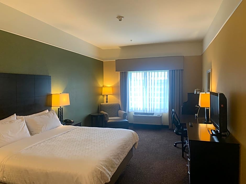 Holiday Inn Express Hotel & Suites Lansing-Dimondale