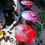 Kunming Upland International Youth Hostel