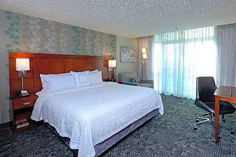 Guest room, 1 King, City view
