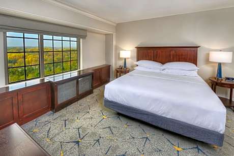 King Room with Adapted Tub - Mobility and Hearing Accessible