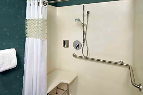 1 King Mobility Hearing Accessible 3X3 Shower Studio Non-Smoking