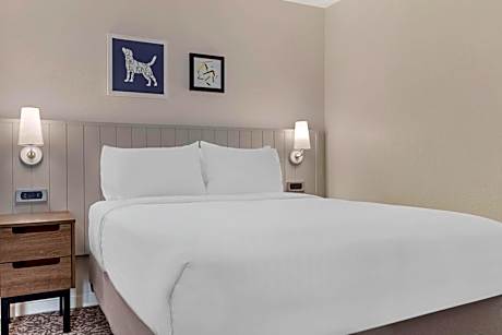 One-Bedroom Queen Suite