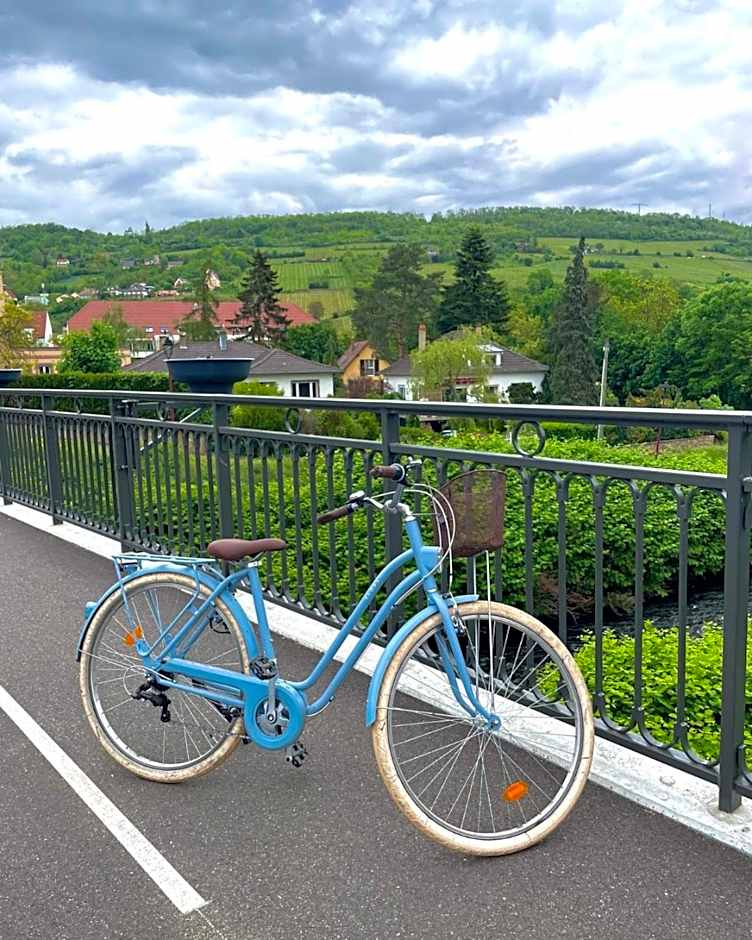 Hôtel L'Ours De Mutzig