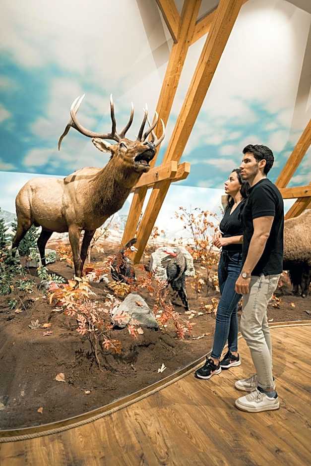 Hunor Hotel és Étterem