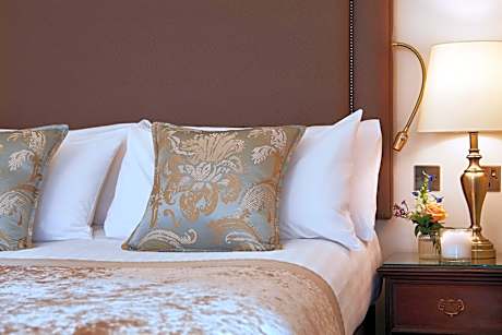 Standard Family Room 3