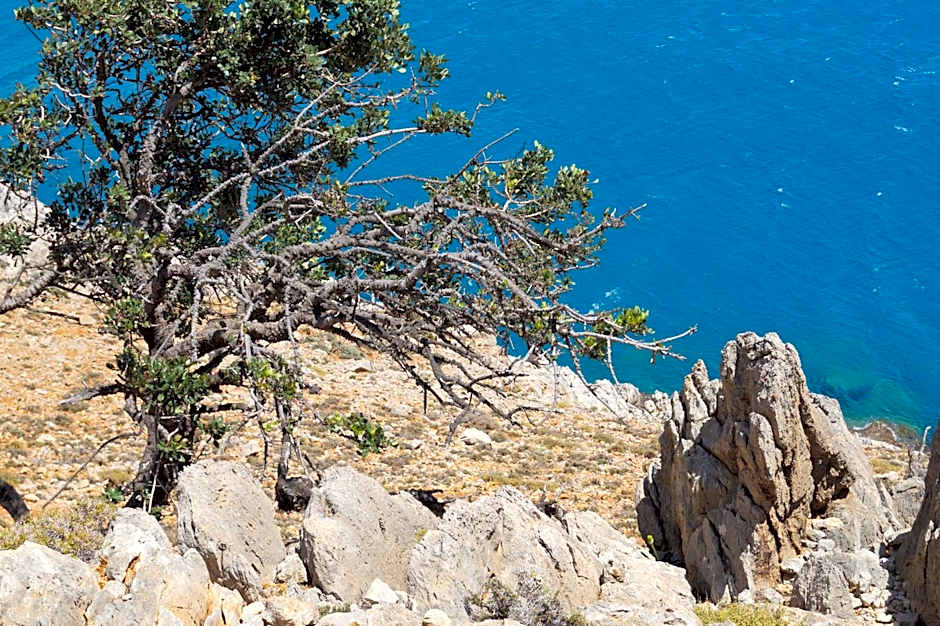 Jason Rooms & Studios