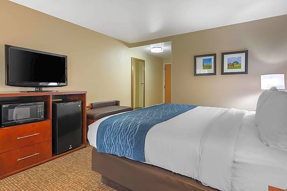 Comfort Inn Ocala Silver Springs