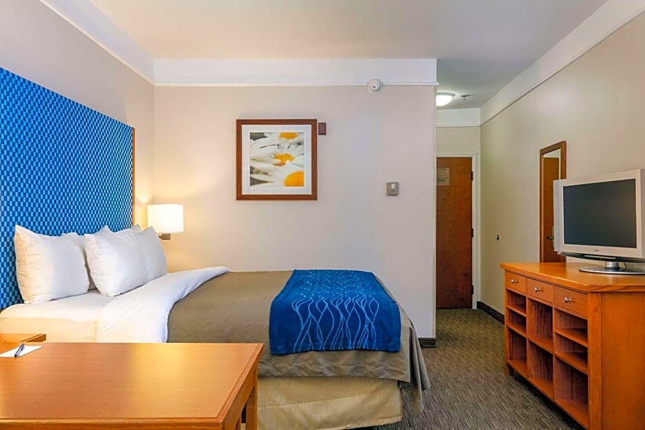 Comfort Inn & Suites Savannah Airport
