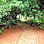 Mount Azimbo Lodge