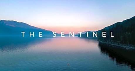 The Sentinel