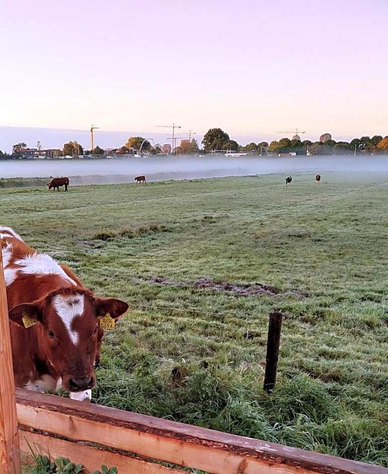 The Grutto, private apartment 25 min from city center