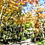 Kurokawa Onsen Oku no Yu