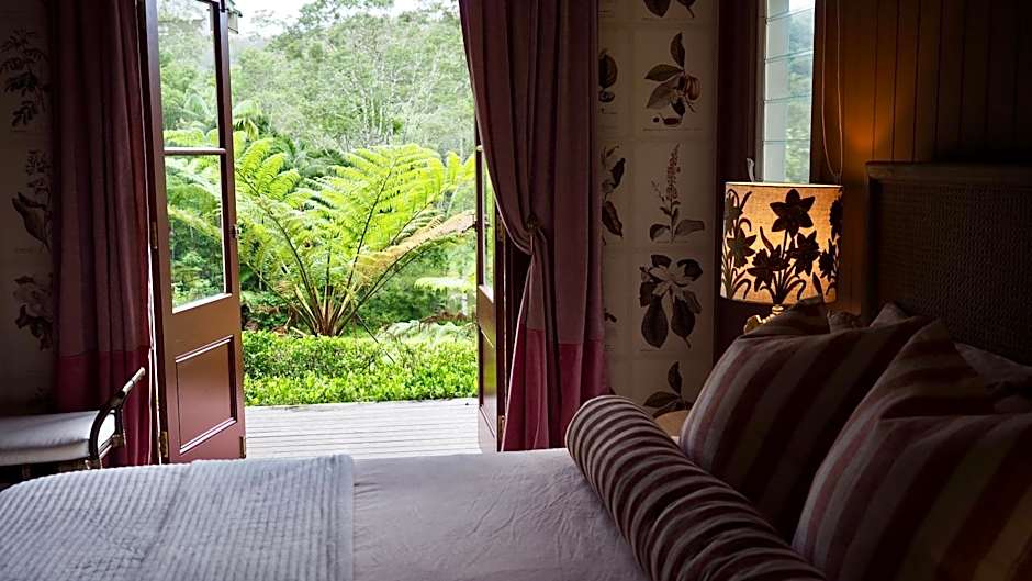 Nightcap Ridge - Byron Bay Hinterland