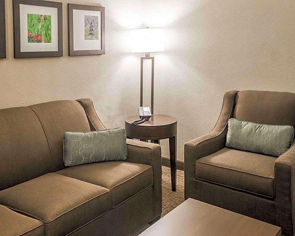 Comfort Inn & Suites Pharr - McAllen