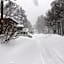 First Tracks Madarao