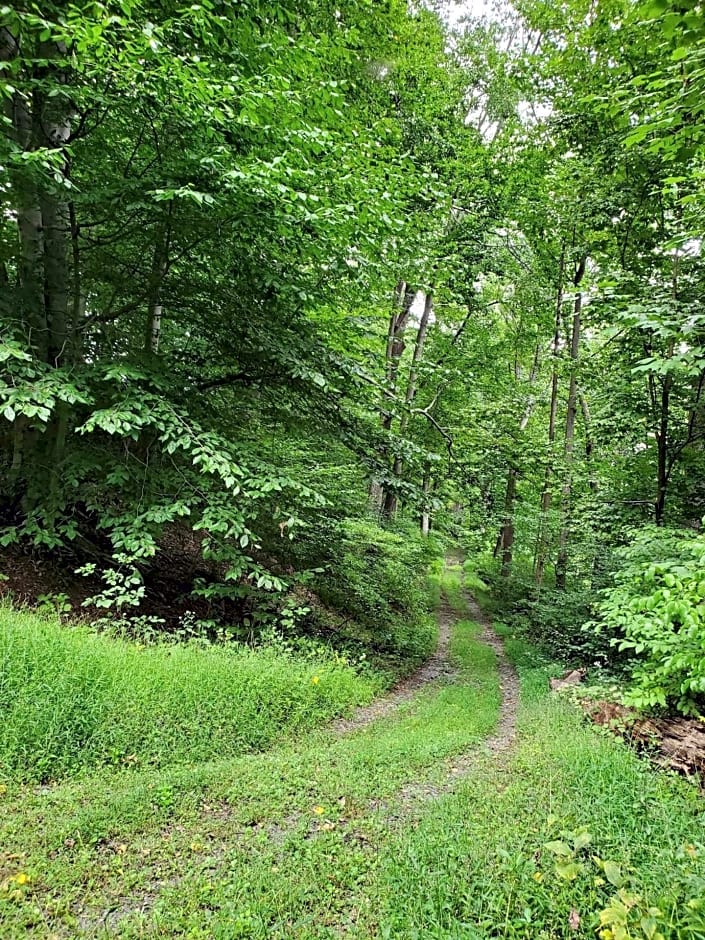 Glenwood Inn & Conference Center