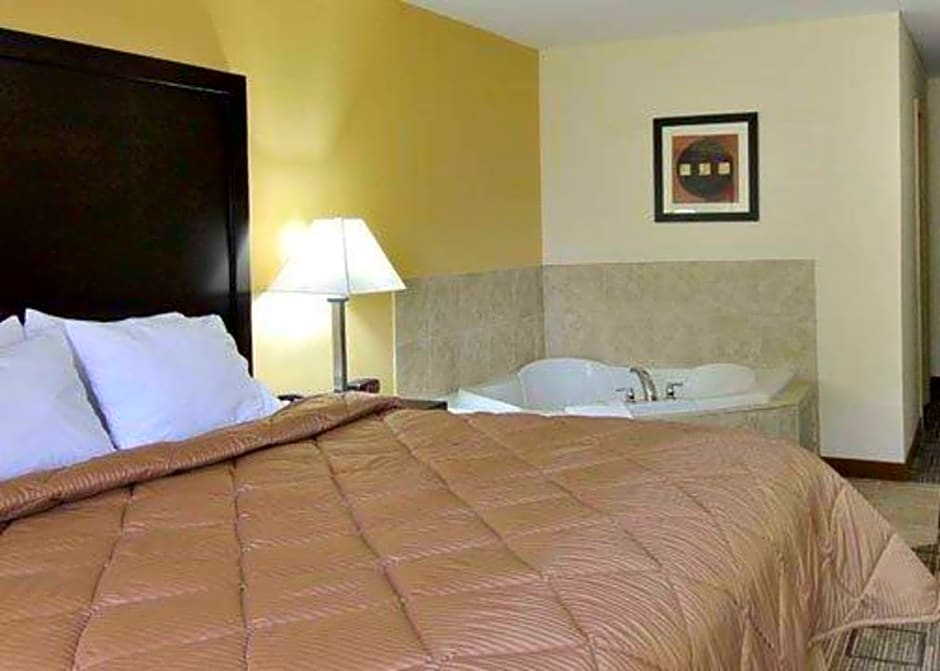 Quality Inn & Suites Greenville near downtown