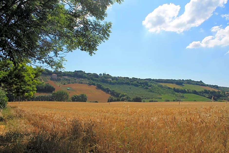 B&B Il Cavallino