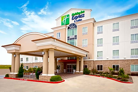 Holiday Inn Express Hotel & Suites Dallas West, an IHG Hotel