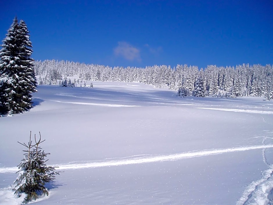 Chalet-Hôtel du Borderan