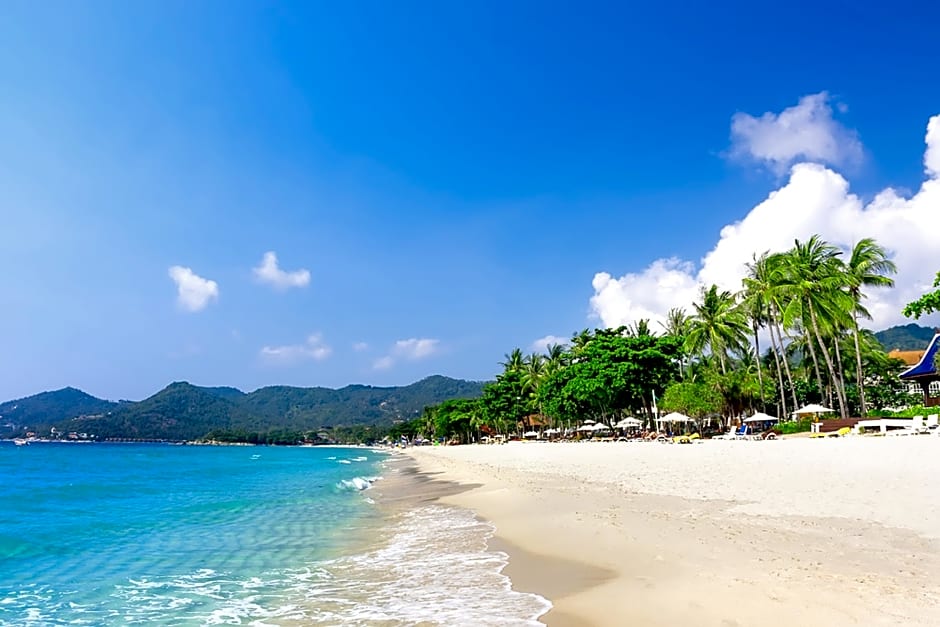 Lotus Friendly Hotel