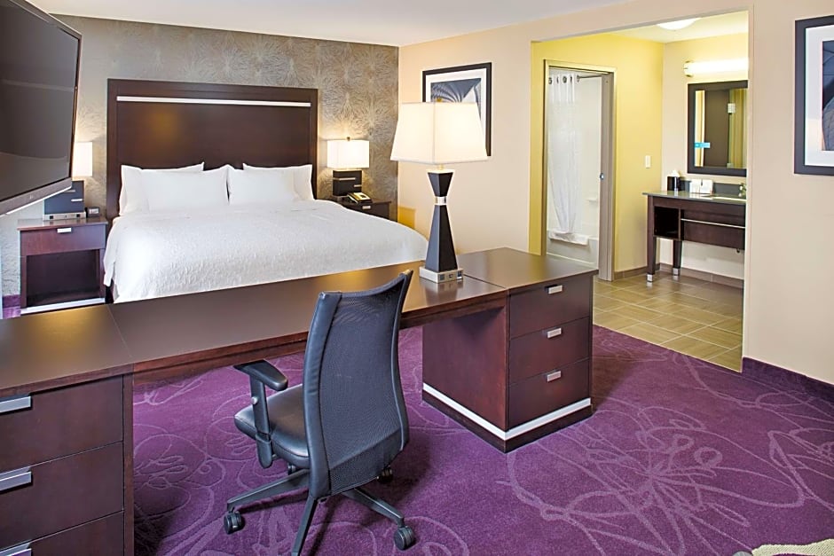 Hampton Inn By Hilton & Suites Lansing West