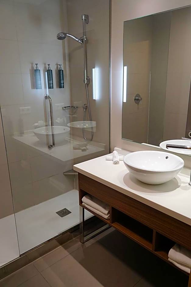 Hilton Garden Inn Malaga