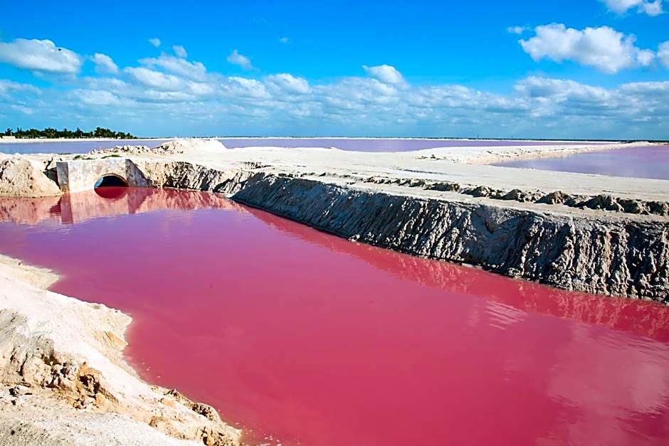 Hotel La Casa Cielo solo adultos