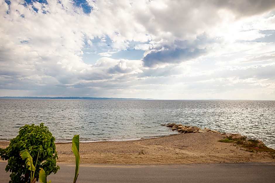 Royalty Suites Seaside