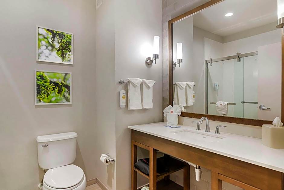 Comfort Inn & Suites Valdosta I-75