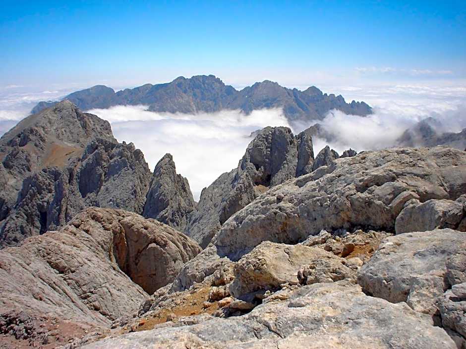 Hotel Picos de Europa