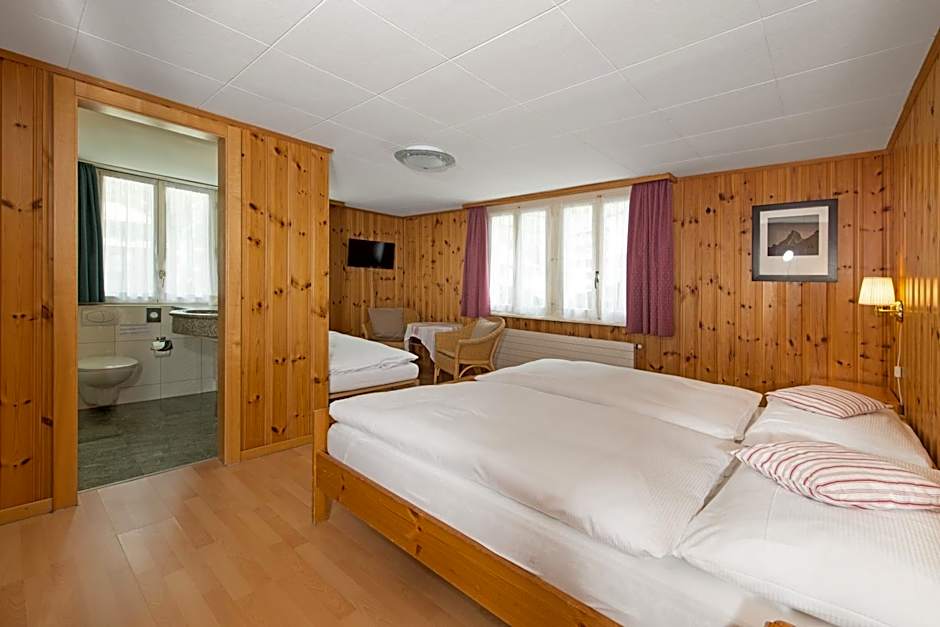 Hotel Alpina