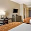 Comfort Suites Northwest Houston At Beltway 8