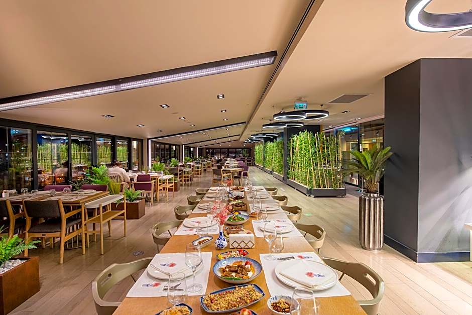 Holiday Inn Kayseri - Duvenonu By IHG