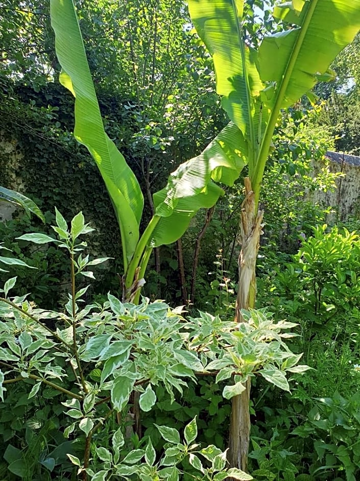 La petite maison du jardin d'Apollon
