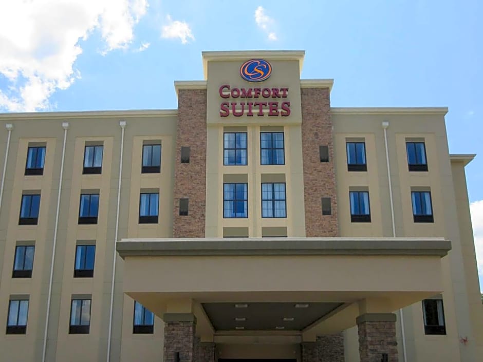 Comfort Suites Greenville South