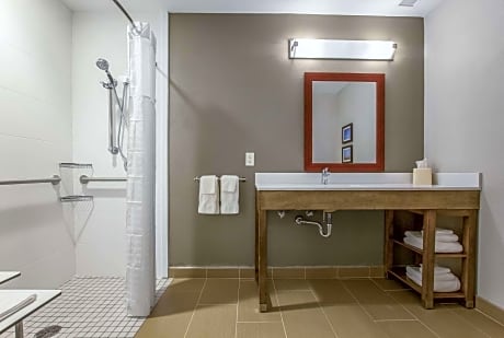 1 King Bed, Suite, Nonsmoking, Accessible