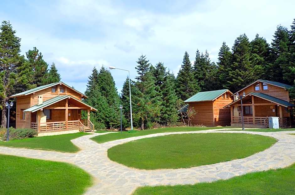 Uludag Orman Koskleri