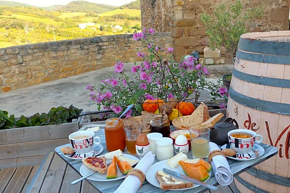 Au Château de Villelongue B&B