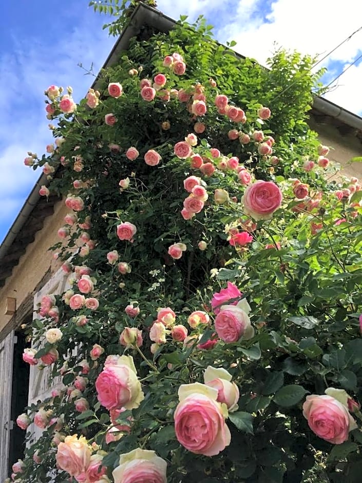 Les Jardins des Soussilanges