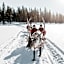 Lapland Hotels Bear´s Lodge