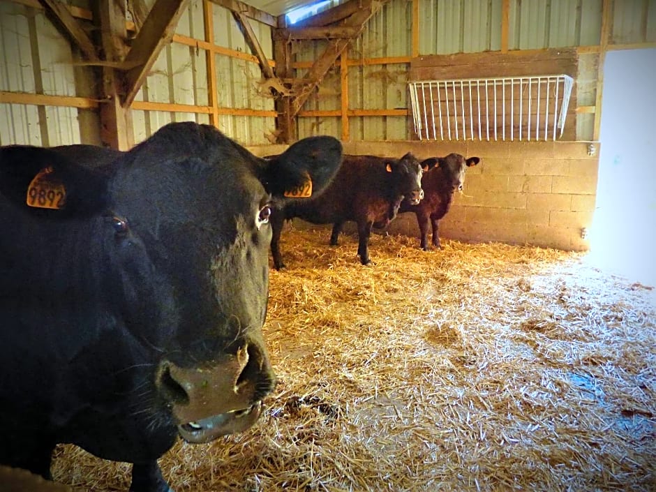 L'Ancien Presbytère Chambres D'hote ou Gite